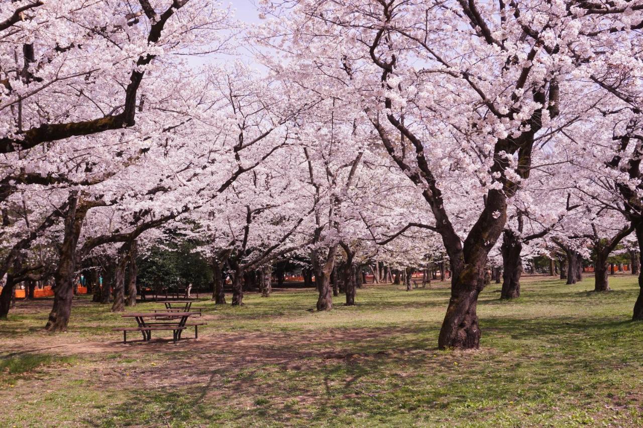 Апартаменты 渋谷 広め50M2 2Ldk 代々木公園駅徒歩5分 家族におすすめ Токио Экстерьер фото